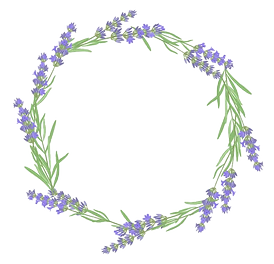 depositphotos_113856818-stock-illustration-branch-of-flowers-of-lavender_edited.png