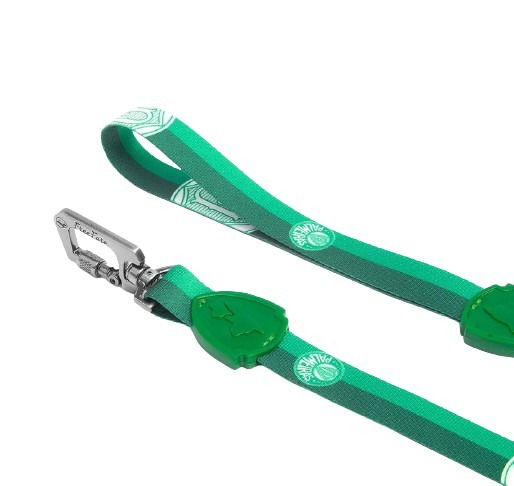 Miniatura: Guia tradicional para cachorros Palmeiras