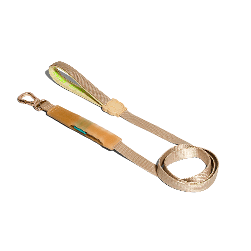 Guia para Cachorros Airleash Kim