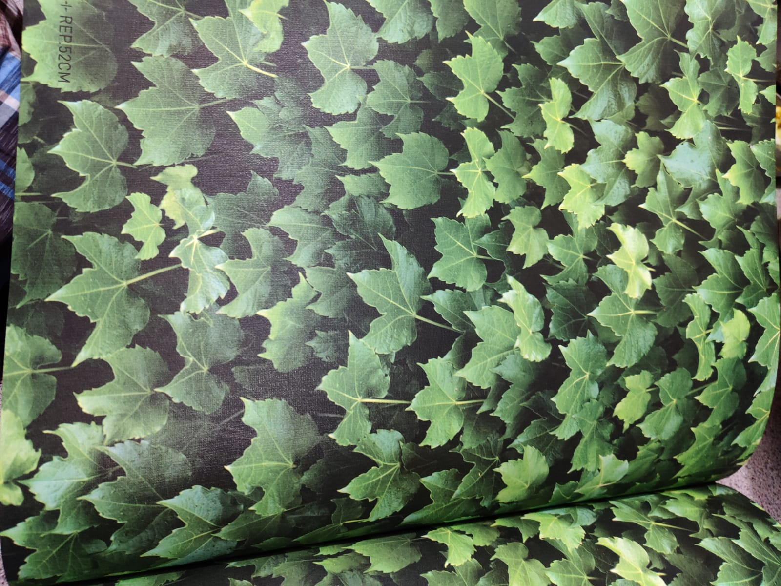 Natural tree Leaves house wallpaper