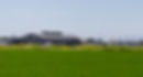 222A5901_edited.jpg