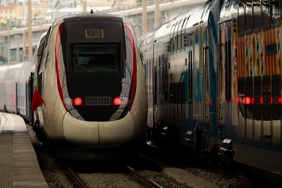red-blue-trains-stationing-station-nice-france.jpg