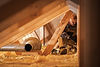AdobeStock_343601005_edited.jpg