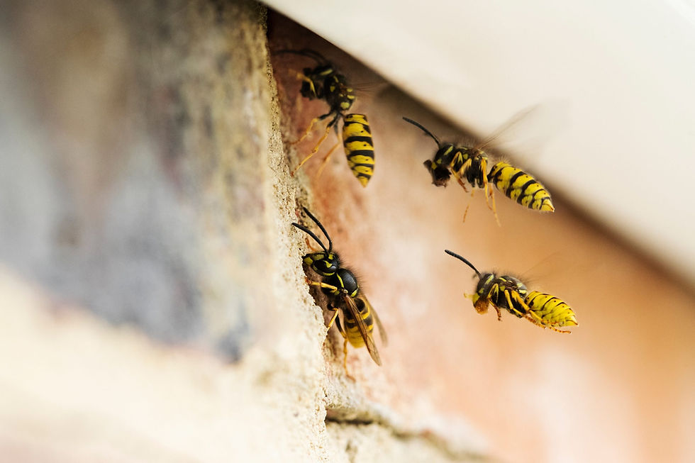 AdobeStock_281005902-scaled (1).jpeg