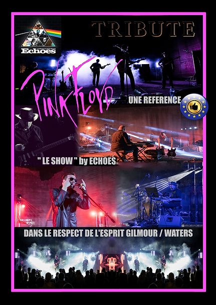 CATALOGUE GIANTS OF ROCK PAGE ECHOES. RECTIF.png