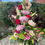 Thumbnail: Front Facing Bouquet ( Fresh Flowers, Modern )