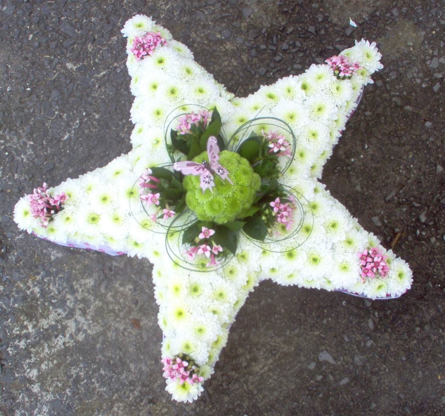 Infant / Junior Star 21” X  23”