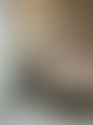 Home bar setup with floating shelves, houseplant, cocktail tools, and liquor displayed in a bright kitchen corner