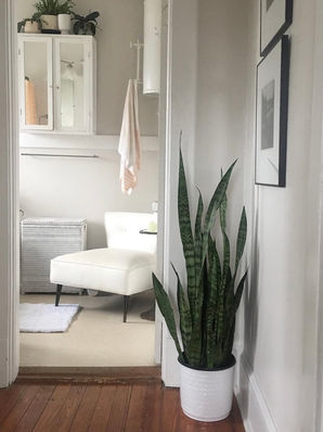 Habit Stacking at Home: Small Shifts That Make a Big Impact