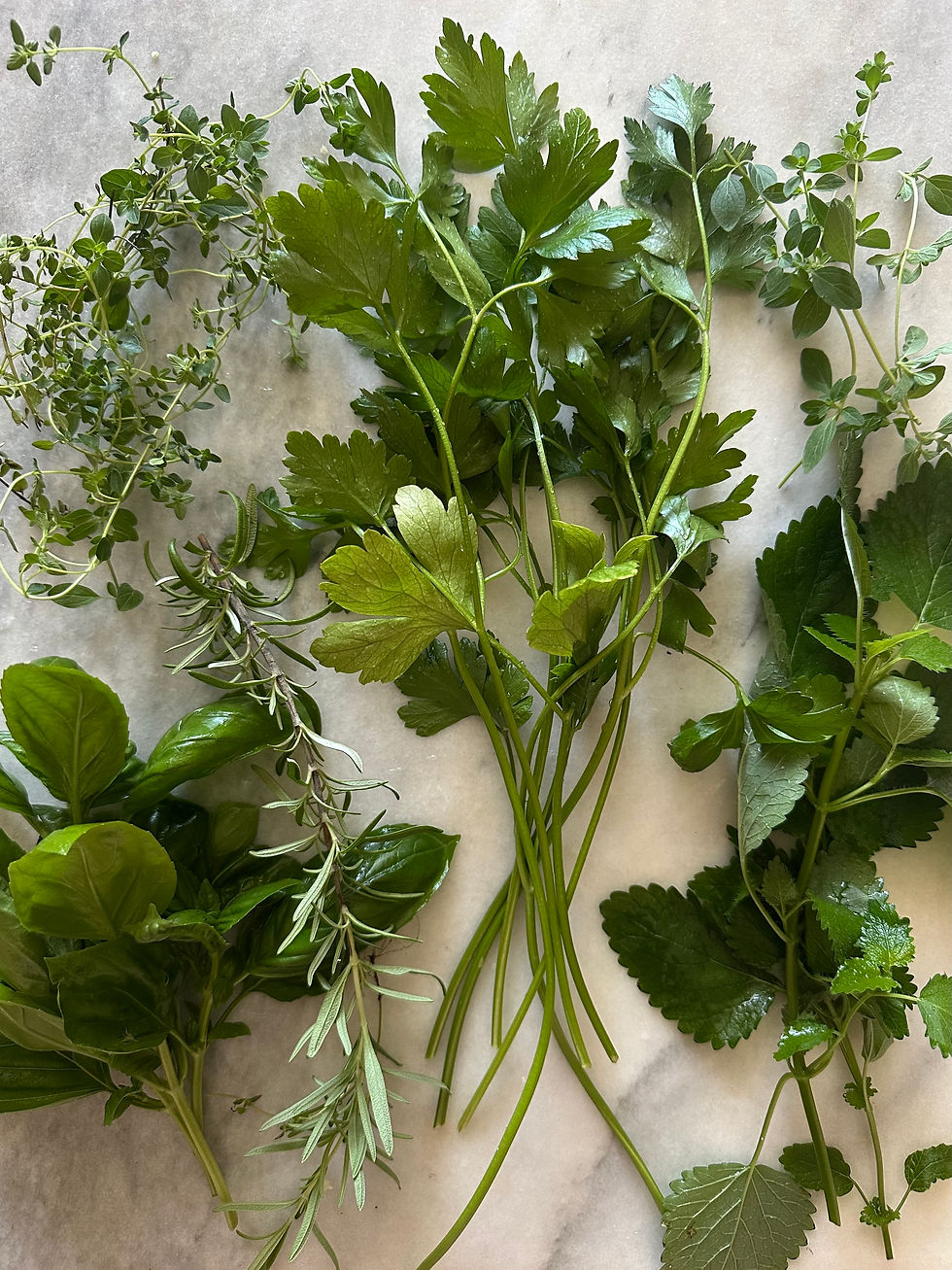 Overhead view of assorted herbs—mint, basil, lemon balm, and more—grouped together to show variety from a small deck garden.