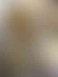 Cut-out snowflake and star sugar cookies on a parchment-lined baking sheet beside a rolling pin and cookie cutters.