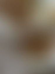 Plated summer meatballs in fresh tomato sauce over creamy polenta with basil.