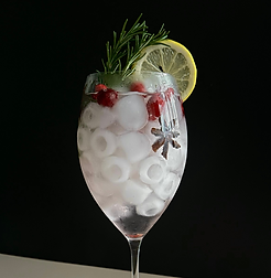 gin and tonic.png