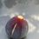 Thumbnail: Brown Turkey