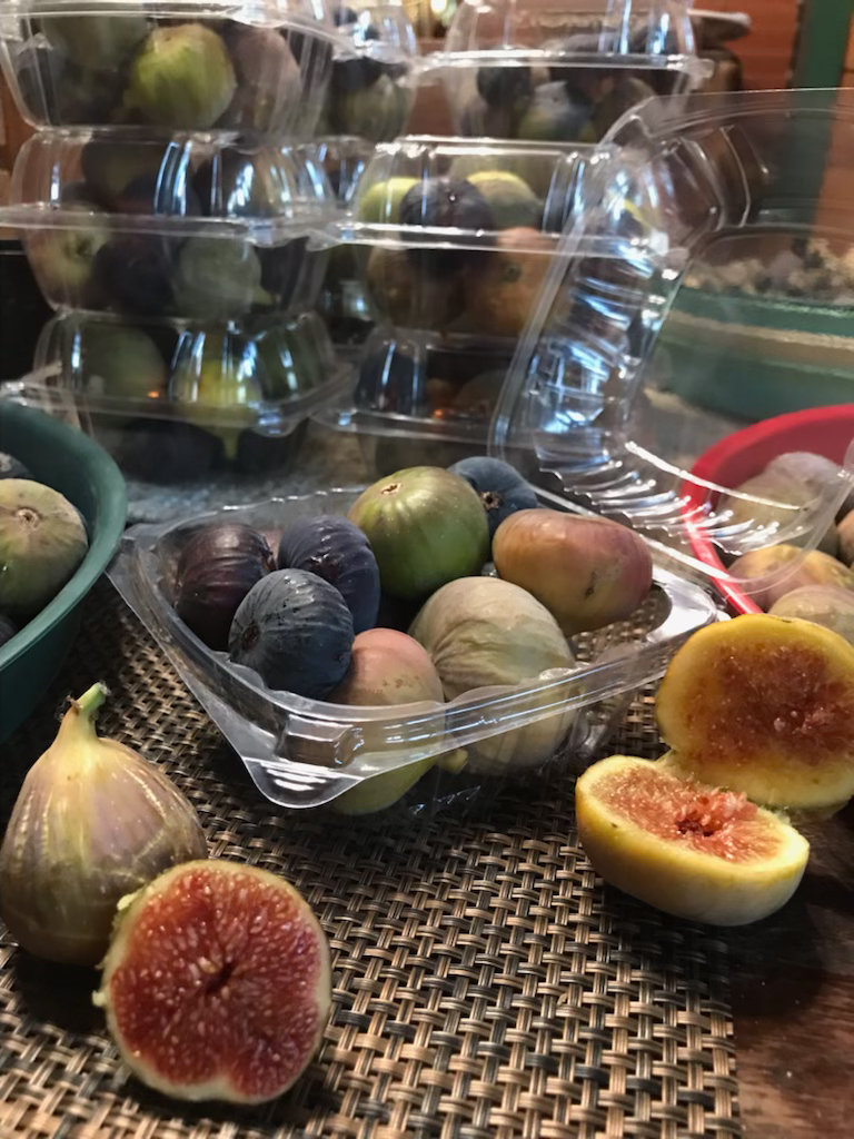 Thumbnail: The Fig Hunter ® Collection Tasting Box