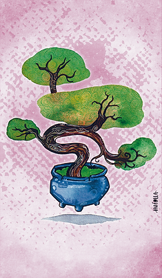 37-Verso_Bonsai.png