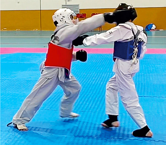 Miniature : INSCRIPTION SELF DEFENSE - TAEKWONDO IMPACT  2026-2027