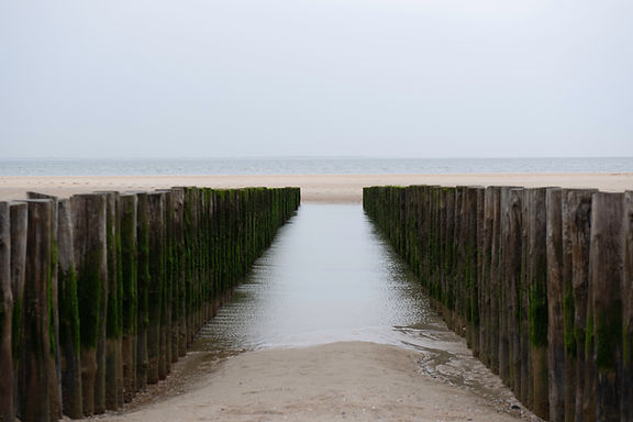 Burgh Haamstede - Westenschouwen-5.jpg