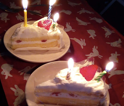 5歳になりました