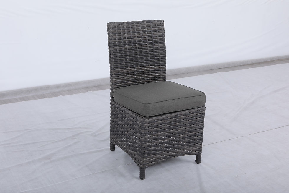 Side Dining Chair with Olefin Cushion