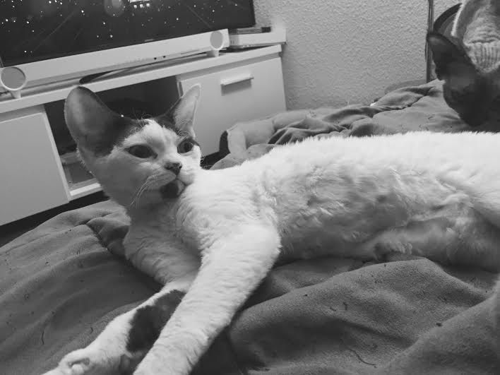 Princesse Mabel