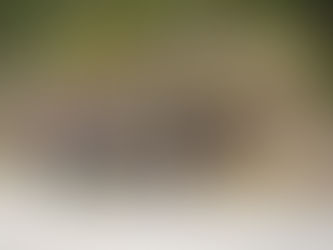 Get ready for AR before AR