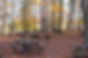 French Creek Campground.jpg