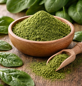 Spinach powder from nutrient-rich leaves, bulk dehydrated vegetable powder supplier worldwide