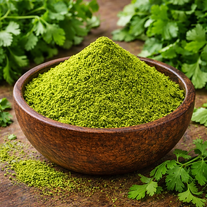 Coriander leaves powder with fresh citrus flavor, dehydrated vegetable powder exporter