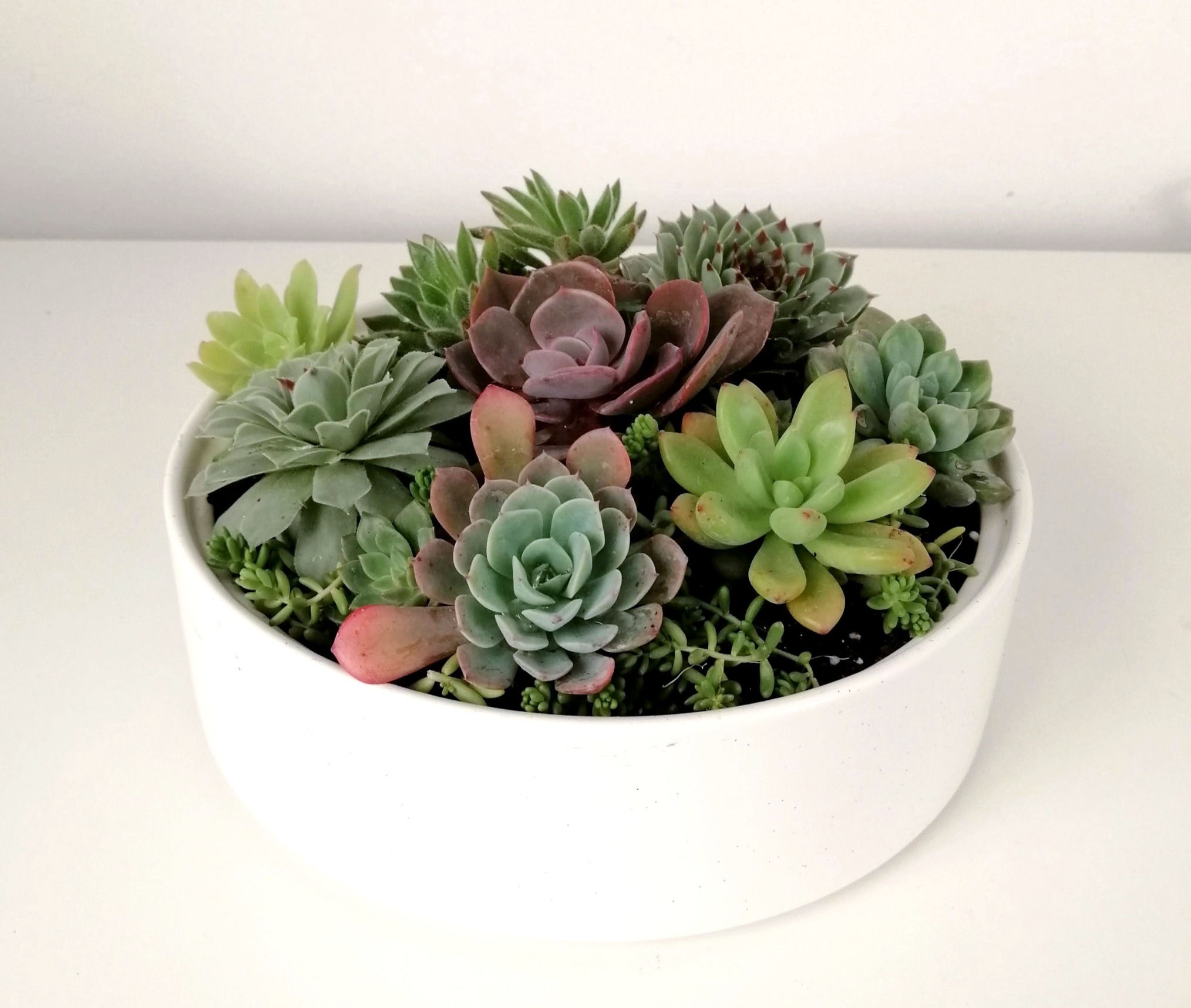 NATURALEZA 162 - SKU 0285