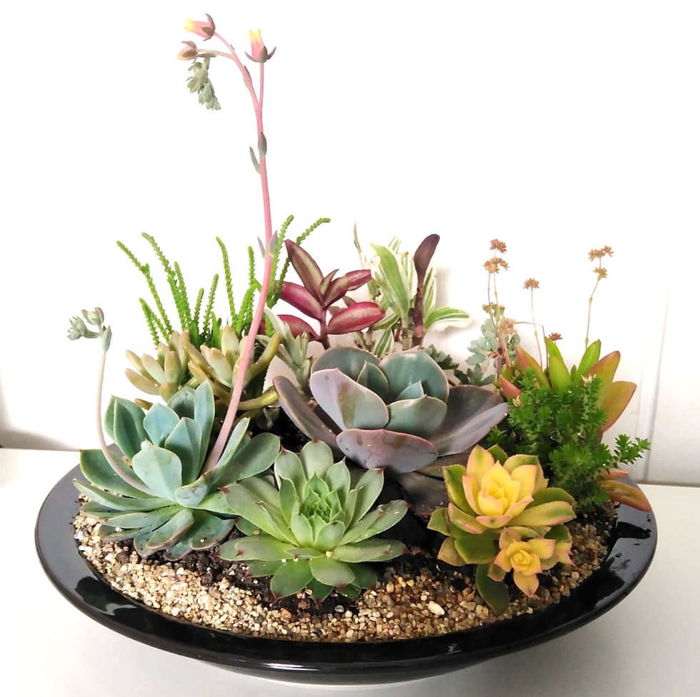 Miniatura: Naturaleza 0227 - SKU 0352
