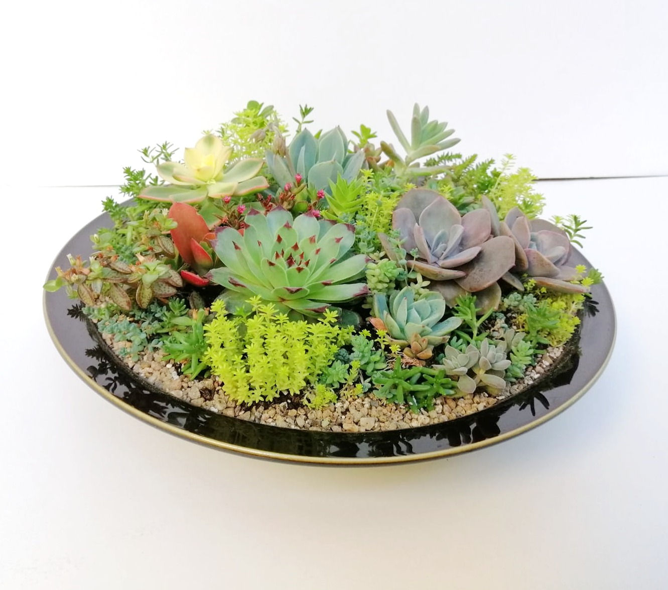 Naturaleza 0310 - SKU 0441