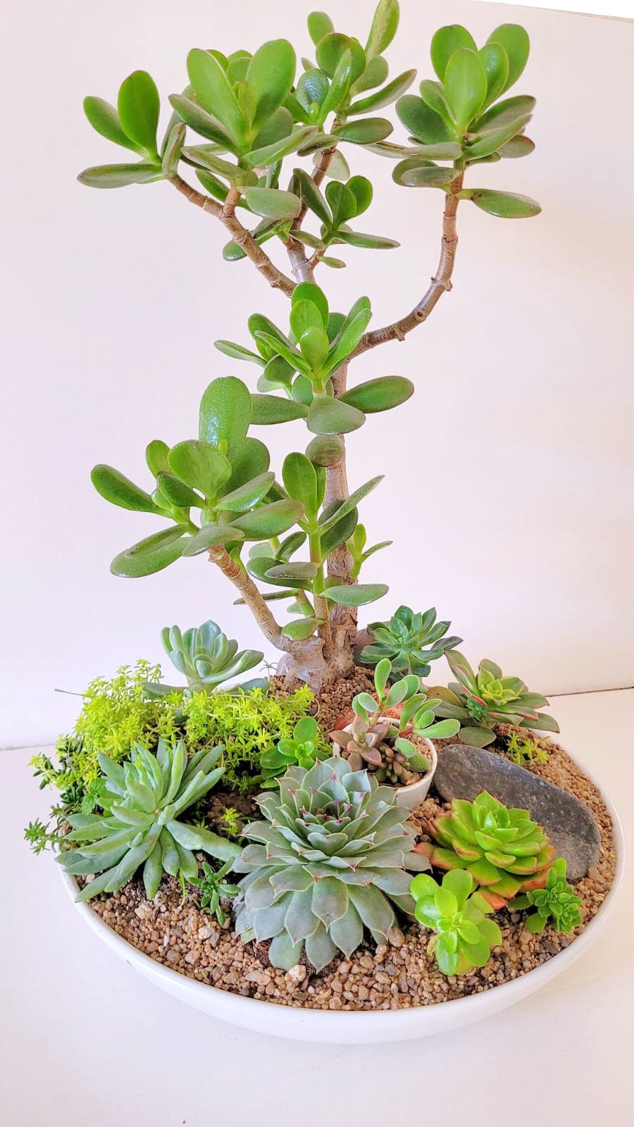 Miniatura: Naturaleza SKU 0528