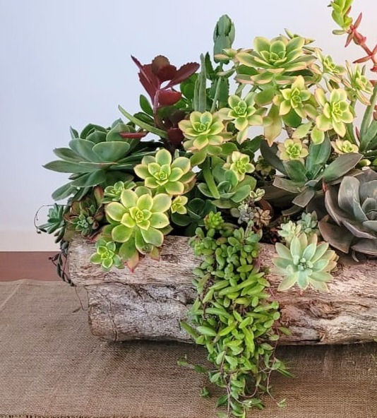 Miniatura: Bosques 16 - SKU 0571