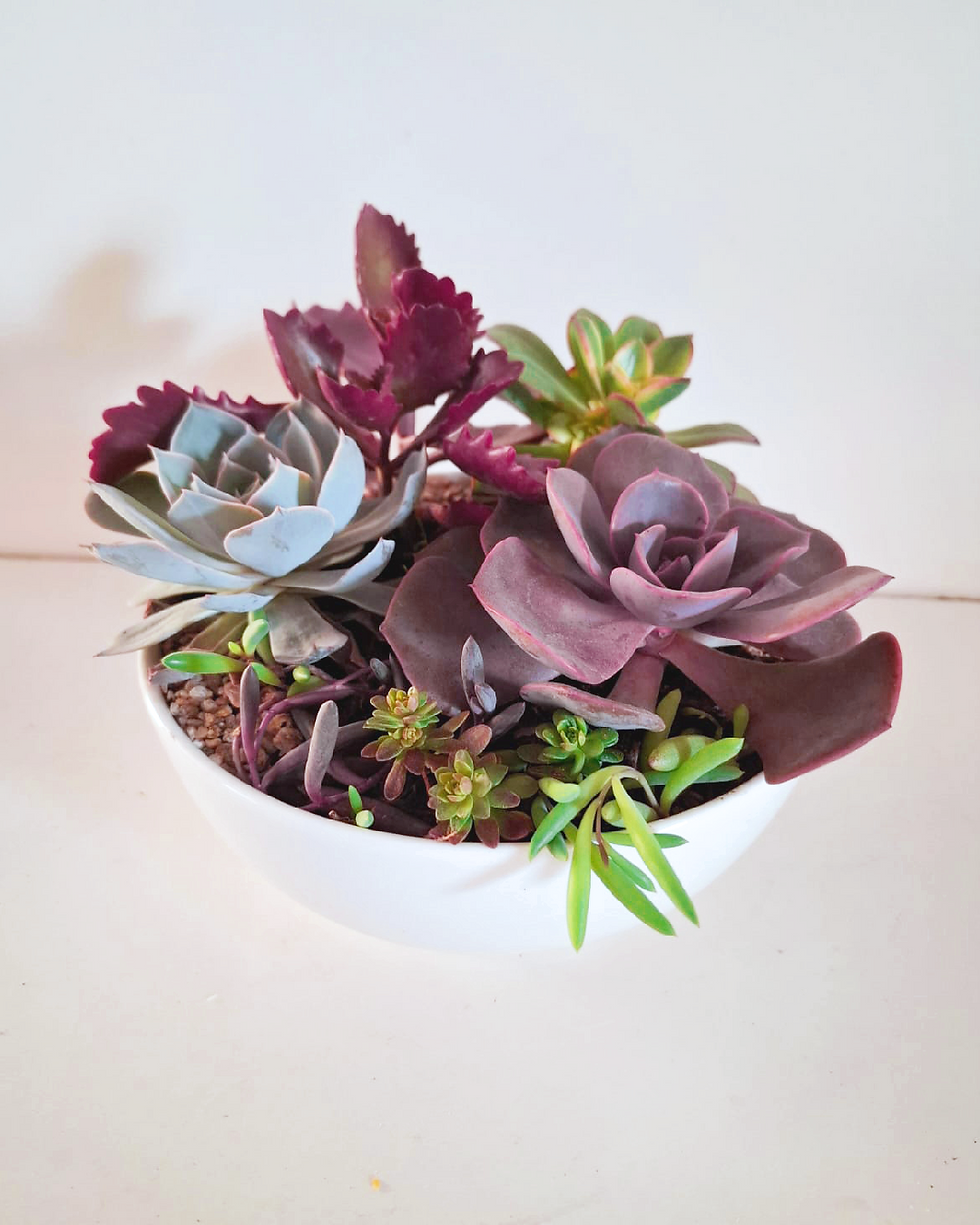 Miniatura: Naturaleza SKU 0630