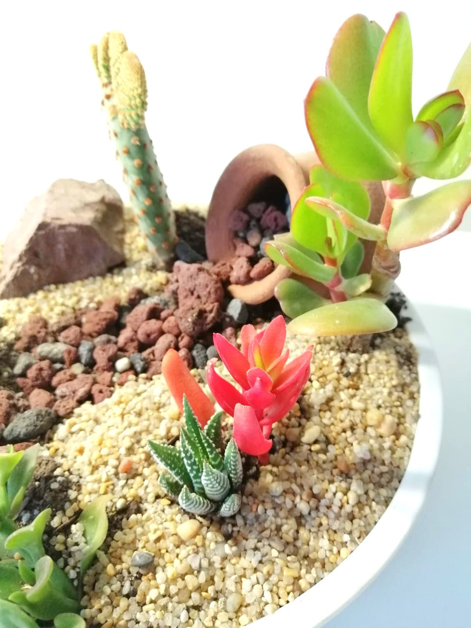Miniatura: Mix 01 - SKU 0190