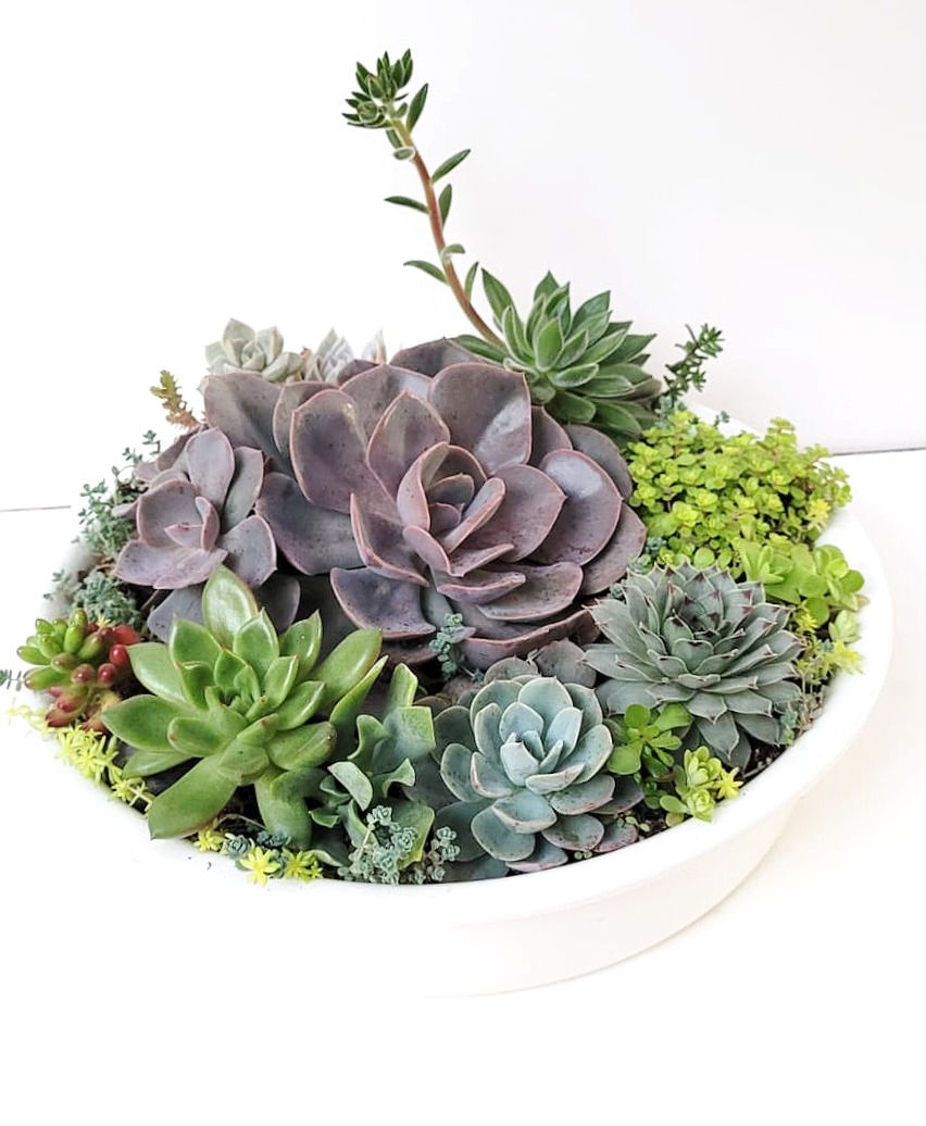 Miniatura: Naturaleza SKU 0547