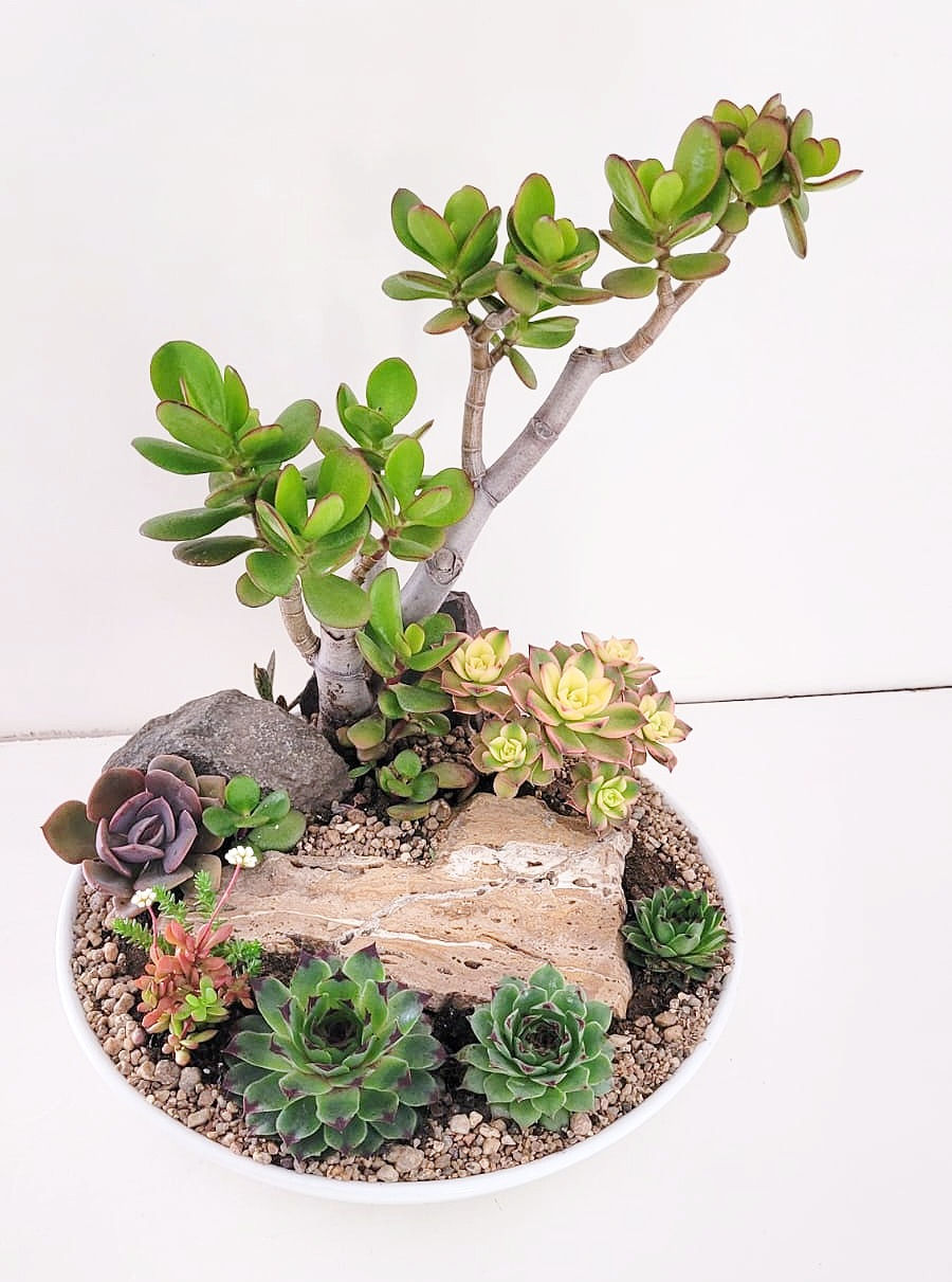Miniatura: Naturaleza SKU 0555