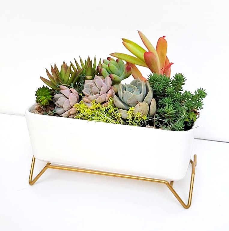 Miniatura: Naturaleza 0311 - SKU 0442
