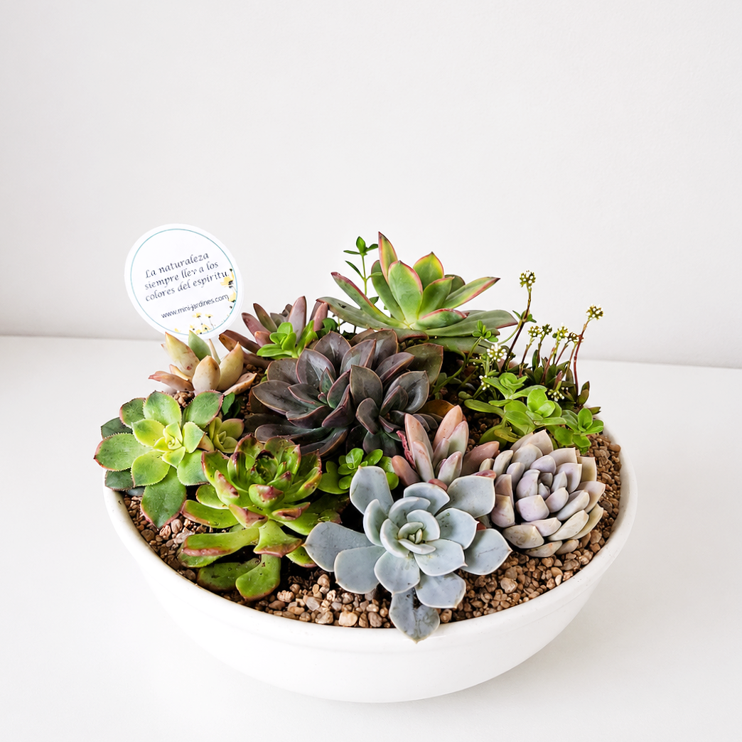 Naturaleza SKU 0751