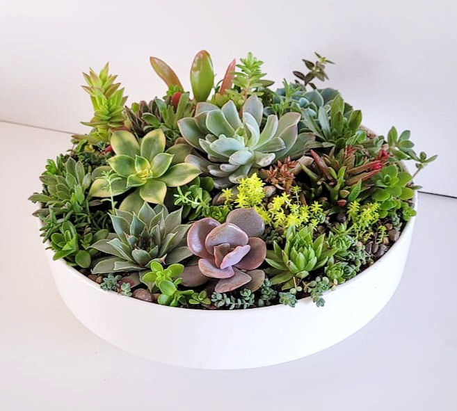 Naturaleza 0293 - SKU 0424