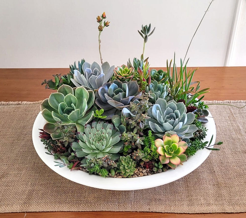 Miniatura: Naturaleza SKU 0570