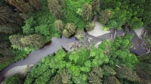 HNFP Stream Aerial_Lee House.png
