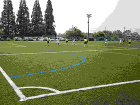 DSC_1151-1.jpg