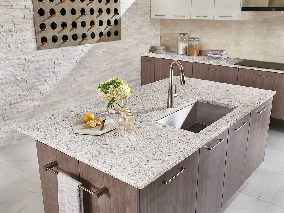 WHITE ORNAMENTAL GRANITE COUNTERTOP