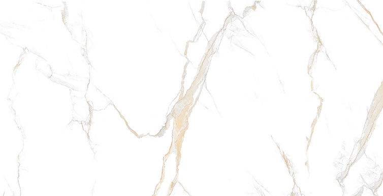 Calacatta Gold Porcelain 24x48 Polished