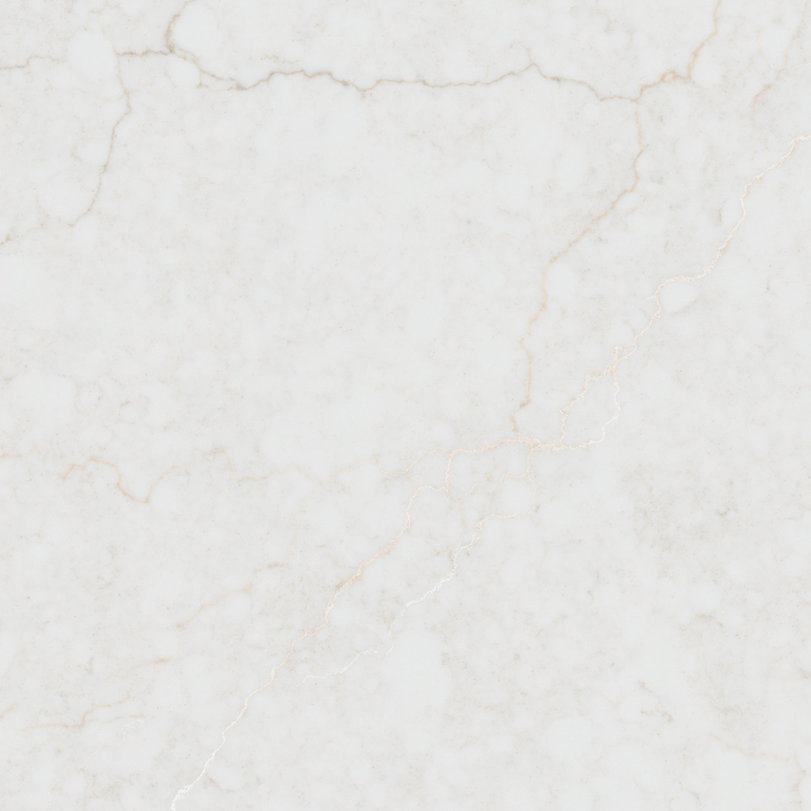 CALACATTA MAJESTIC COVE HONED