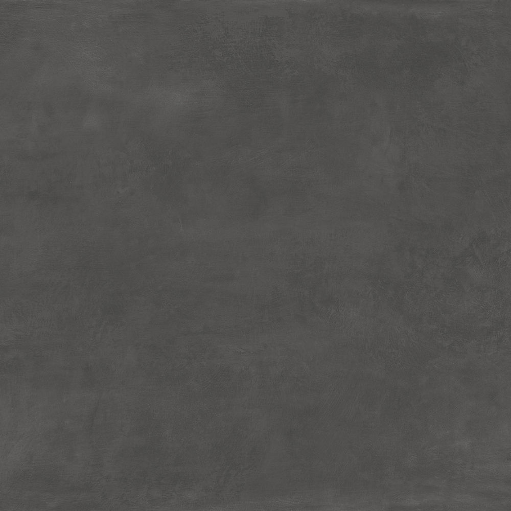 Newton Graphite / Natural