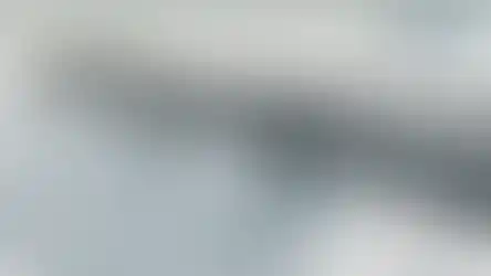 גשר בריכת נוי