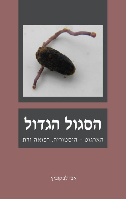 כריכת הספר הסגול הגדול מאת אבי לבקוביץ